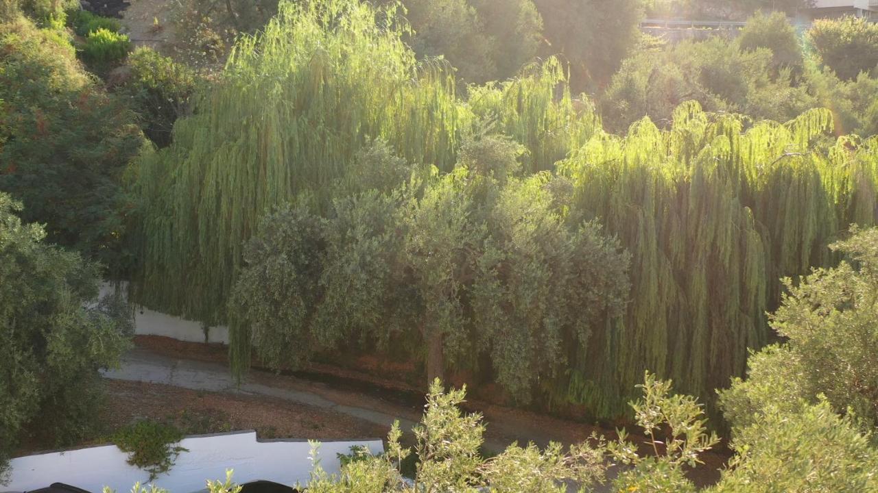 Onirana Apartments Borsh Zewnętrze zdjęcie